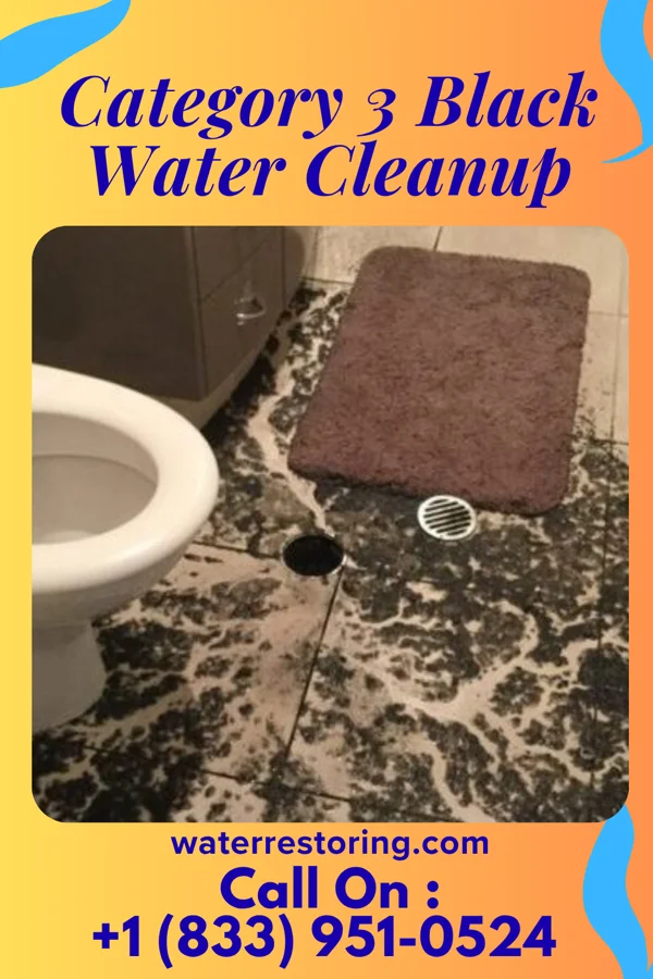 Category 3 Black Water Cleanup in Lebanon, OH