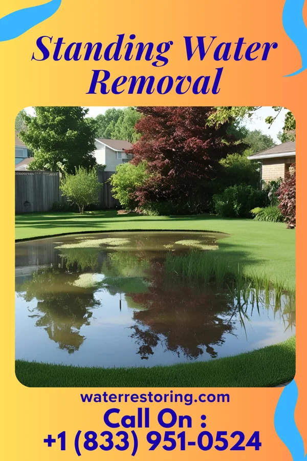 Standing Water Removal in Lebanon, OH